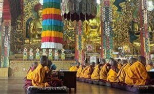 Internship Programs buddhist monastery