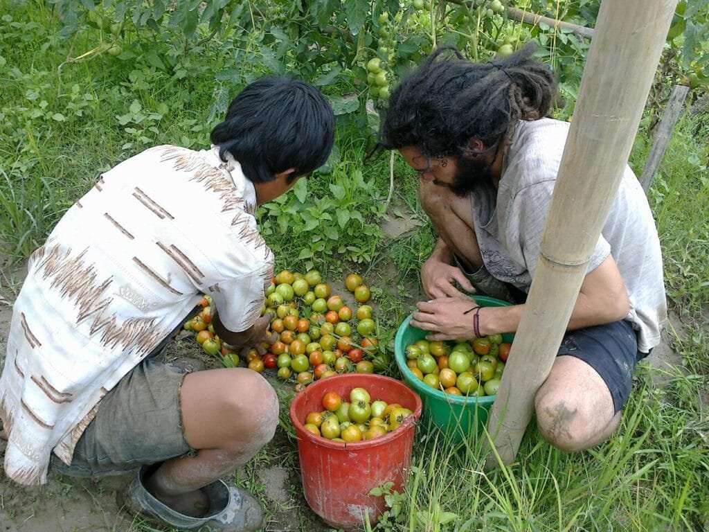 Agroforestry Volunteer Program Nepal