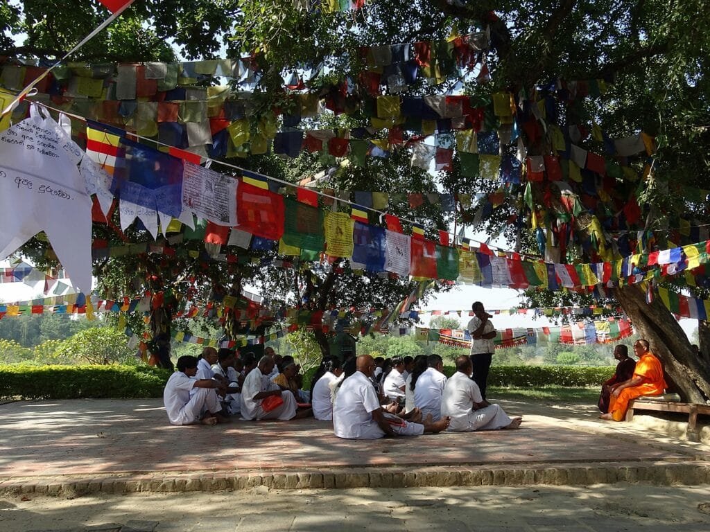 Buddhist Meditation Retreat
